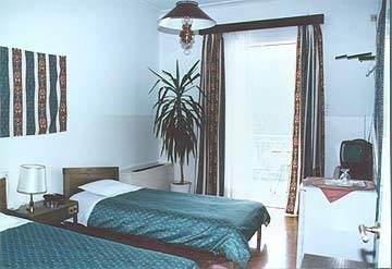 Hotel Vouzas Delfos Habitación foto